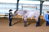 AJB_0275
