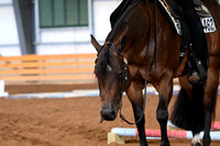 AJB_5674
