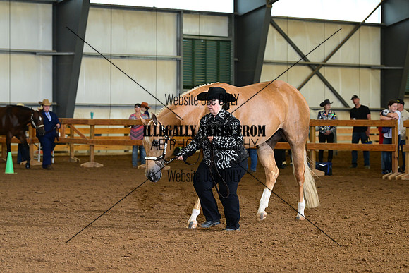 AJB_0095