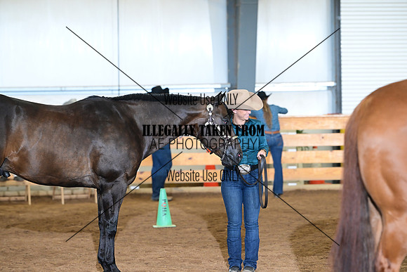 AJB_0973