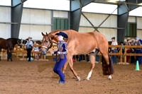 AJB_0479