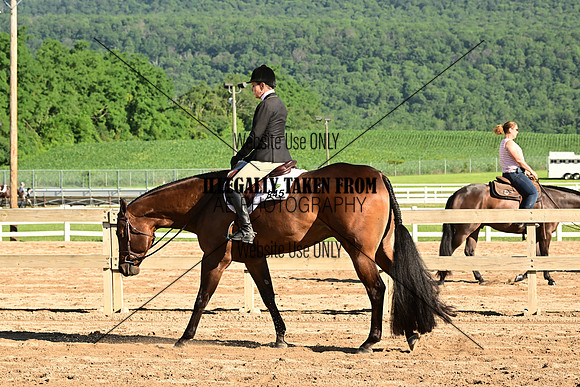 AJB_9967