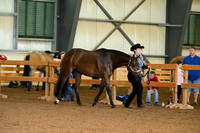 AJB_0068
