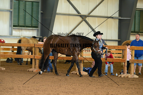 AJB_0068