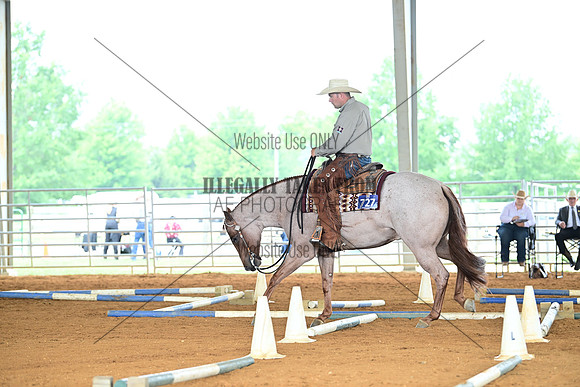 AJB_1175