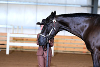 AJB_0740