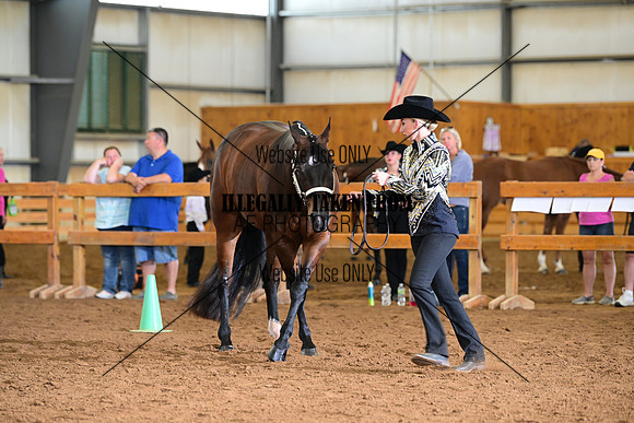 AJB_0627
