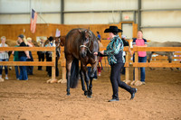 AJB_0264