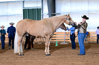 AJB_0963