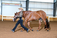 AJB_0233