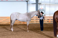 AJB_0965