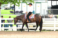 AJB_1643