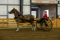 Ladies Cart_Belgians-5