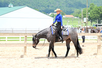 AJB_2156