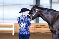 AJB_0524