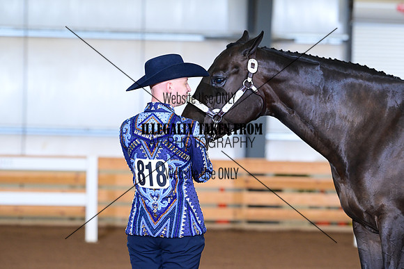 AJB_0524