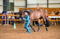 AJB_0558