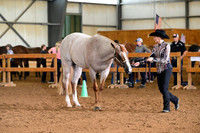 AJB_0379