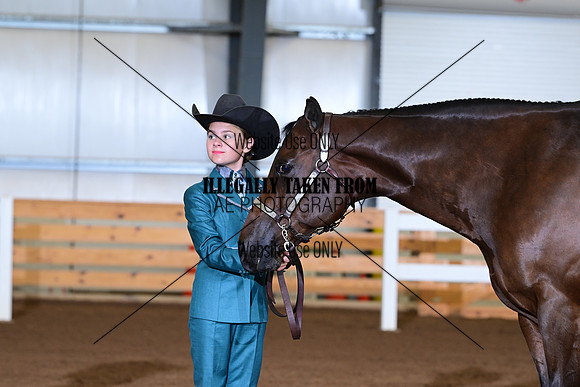 AJB_0566