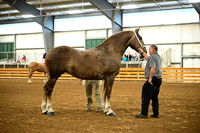AJB_5952