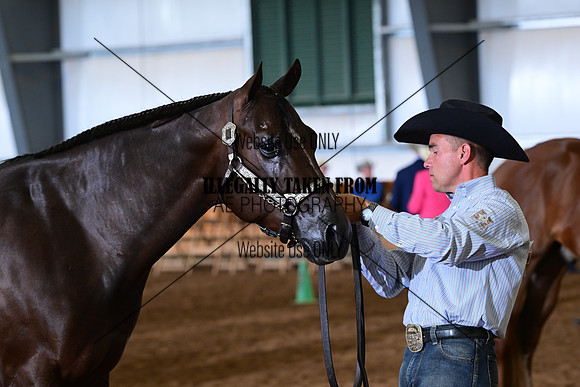 AJB_0931