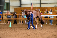 AJB_0755
