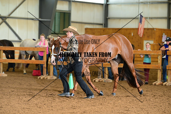 AJB_0228