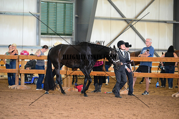AJB_0670