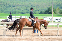AJB_3752