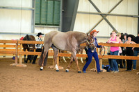 AJB_0108