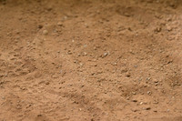 AJB_0949
