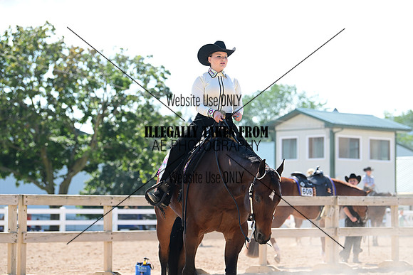 AJB_3175
