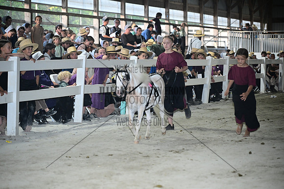 AJB_0862