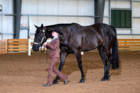AJB_0736