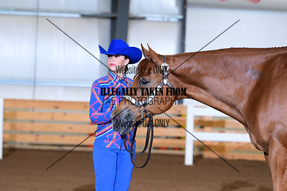 AJB_0462