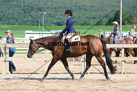 AJB_3953