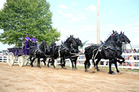AJB_0447