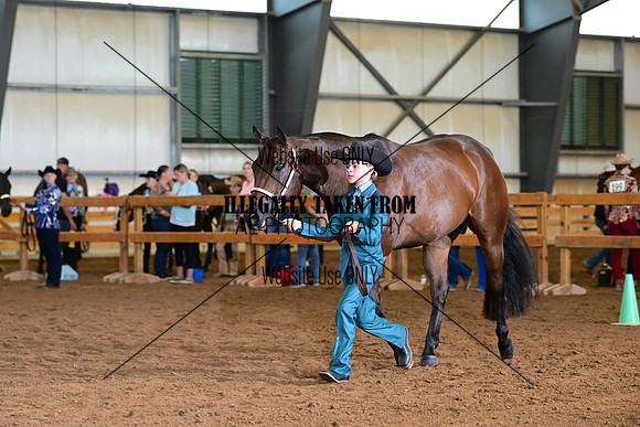 AJB_0514