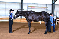AJB_0467