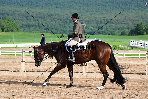 AJB_3613