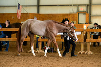 AJB_0079