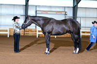 AJB_0242