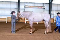 AJB_0371