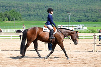 AJB_3981