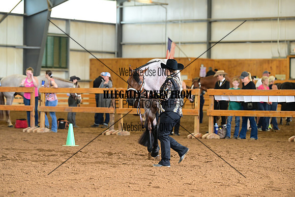 AJB_0272