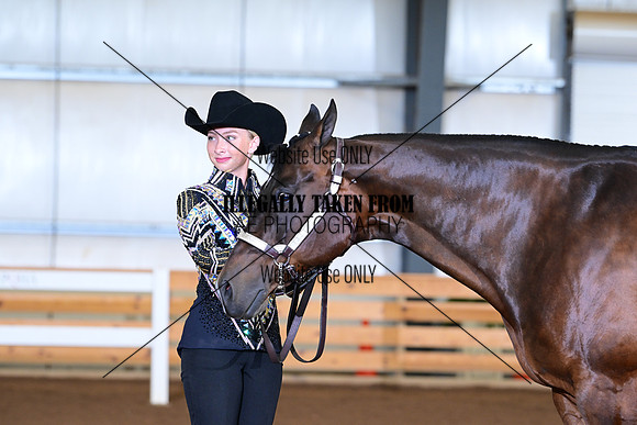 AJB_0633