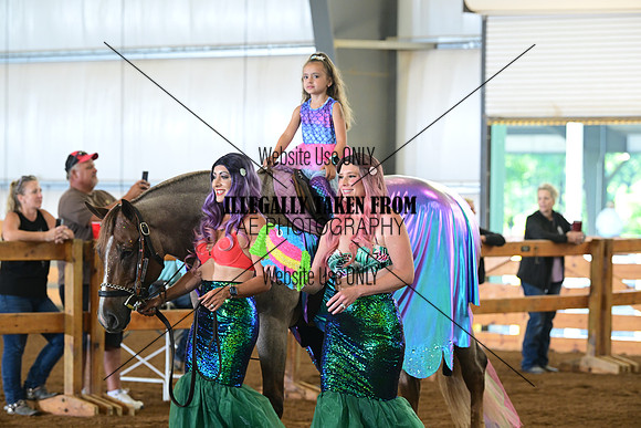AJB_5208