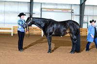 AJB_0178