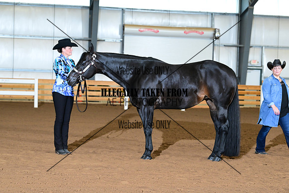 AJB_0178
