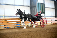 AJB_0257